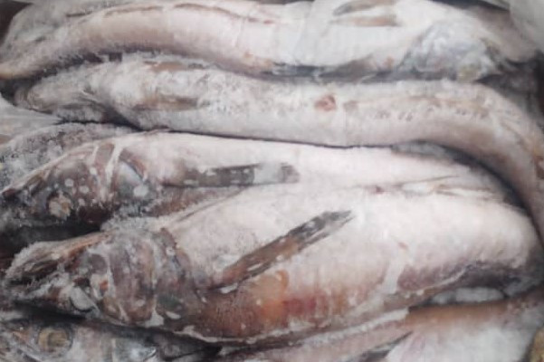 HAKE (10KG)