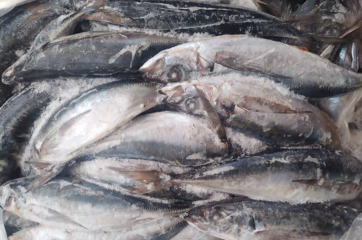 HORSE MACKEREL (500G-900G) 20KG (KOTE)